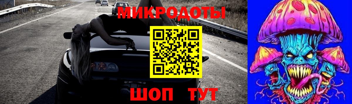 Псилоцибиновые грибы Psilocybe Грязи